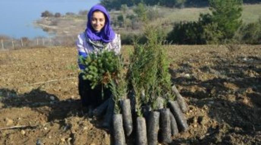 İzsu’dan Tahtalı’ya 800 Bin Fidan