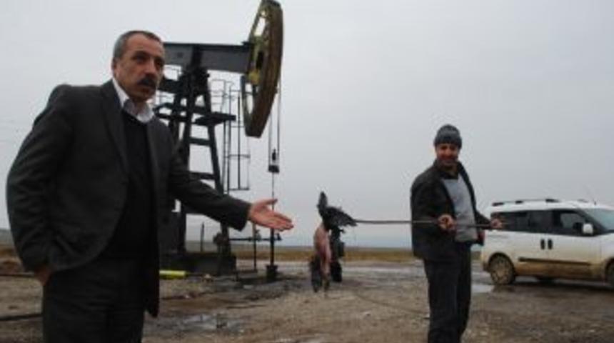 Petrol Atıklarının Doğal Yaşamı Tehdit Ettiği İddiası