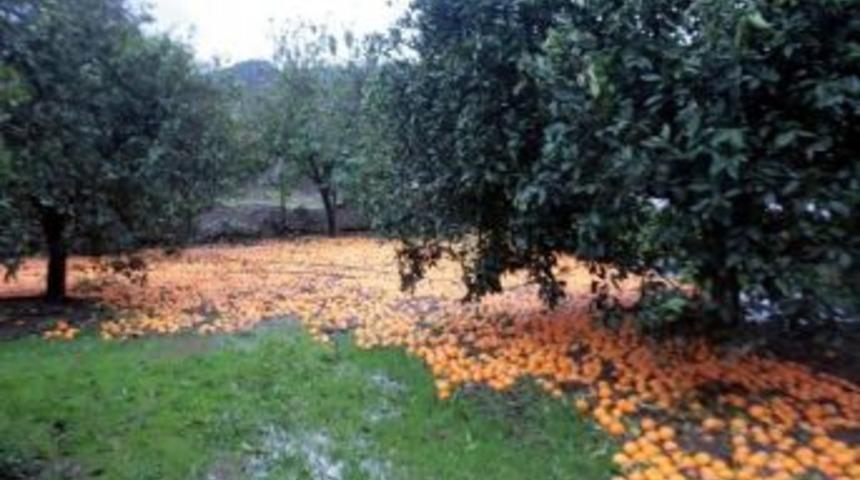 K&ouml;yceğiz&rsquo;de Sel Sonrası Yaralar Sarılıyor