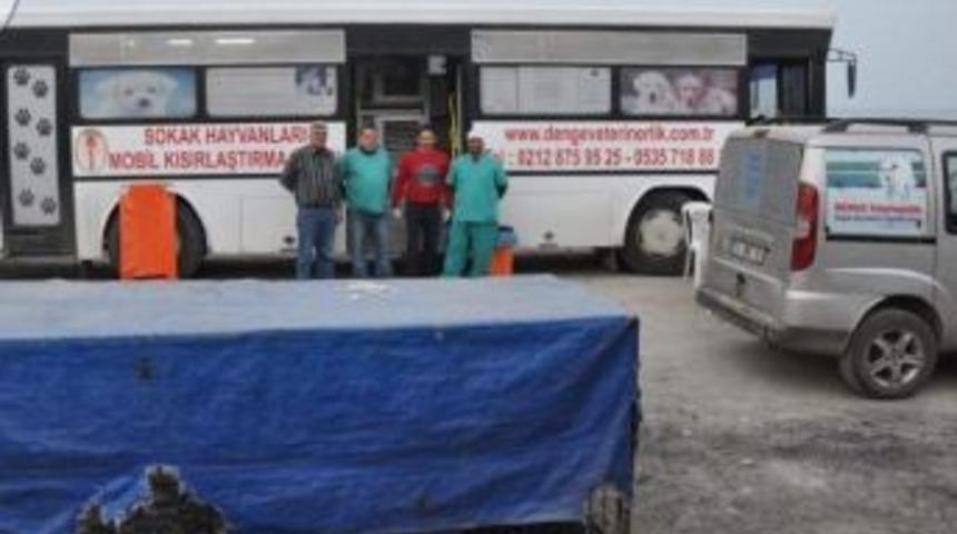 İnebolu&rsquo;da Sokak Hayvanları Aşılanıyor