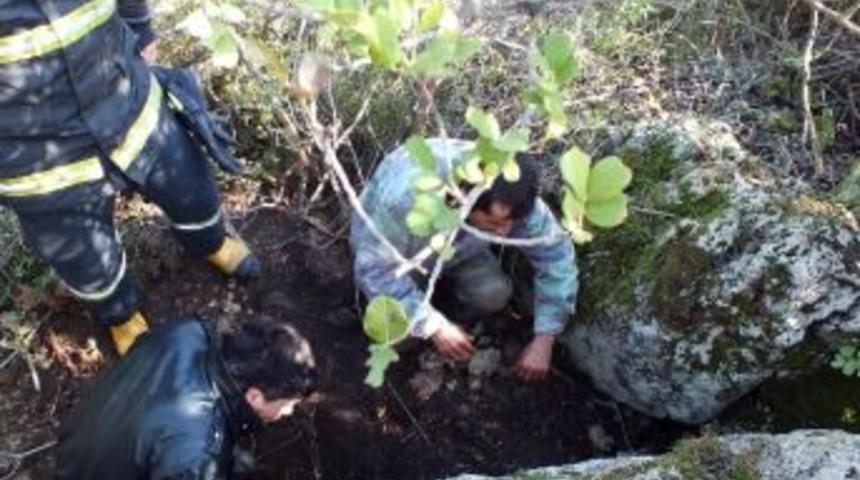 Kayalıklarda Sıkışan K&ouml;peğe İtfaiyeden Yardım Eli