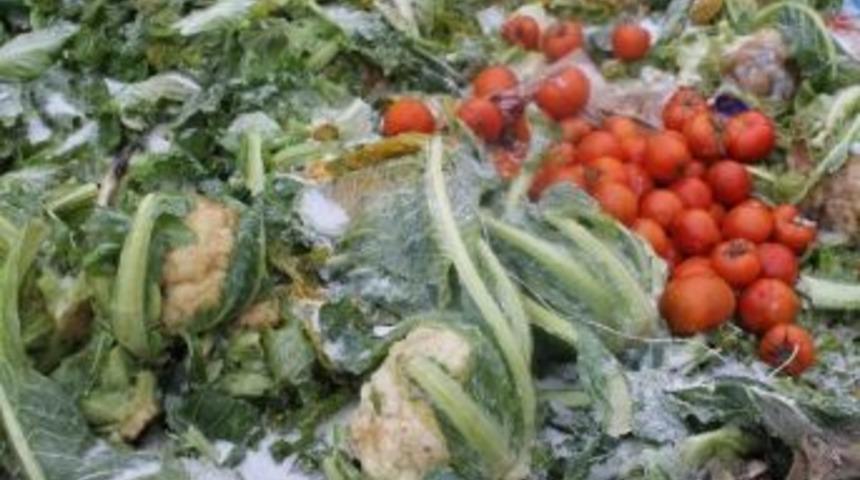 Edirne'de Haldeki Sebze-meyveler Buz Tuttu