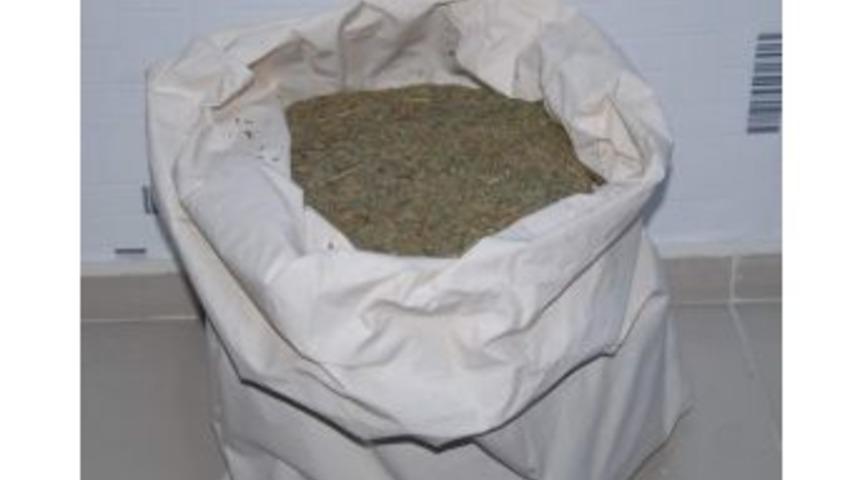 Kavurma Tenceresinin İ&ccedil;inden Esrar &Ccedil;ıktı