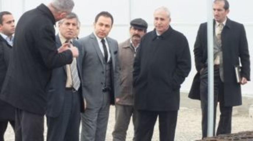 Hekimhan Cevizi Yaygınlaştırılacak