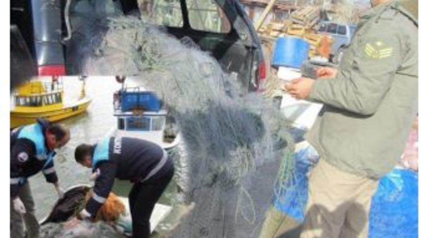 Giresun&rsquo;da Balık&ccedil;ılara Ağ Denetimi