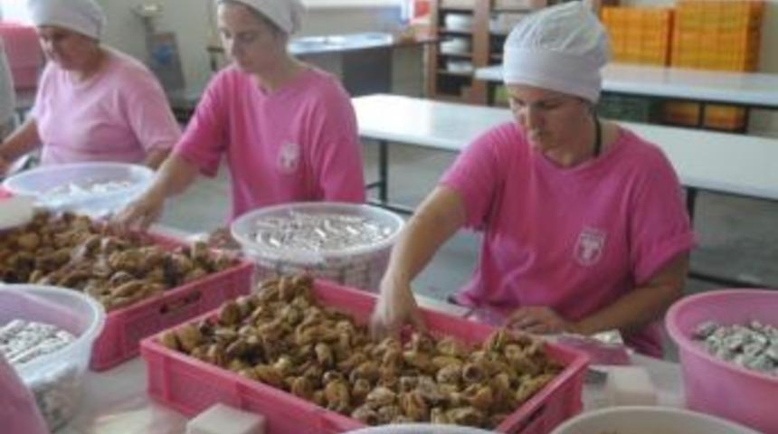 Aralık Ayında 4 Milyon Kilo Kuru İncir İhra&ccedil; Edildi