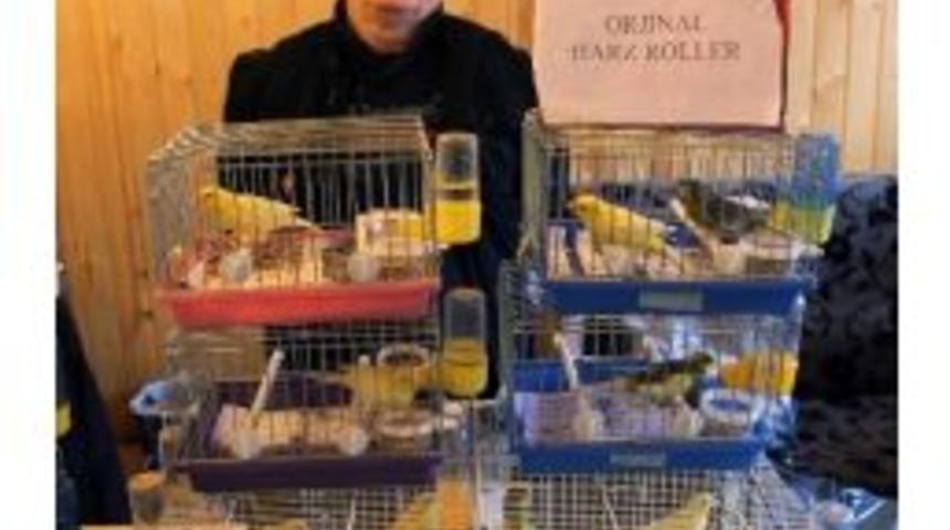 Yenimahalle&rsquo;de Kanaryaların Sesi Yankılandı