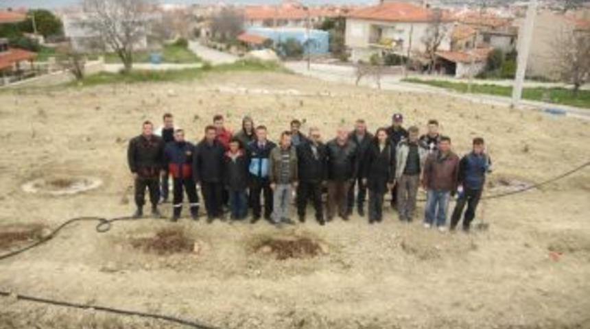 Çeşme Belediyesi'nin "sakız Ormanları" Hayali