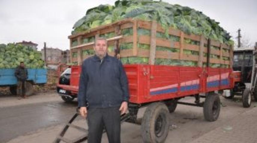 Bafra'da Lahana Fiyatları D&uuml;şt&uuml;