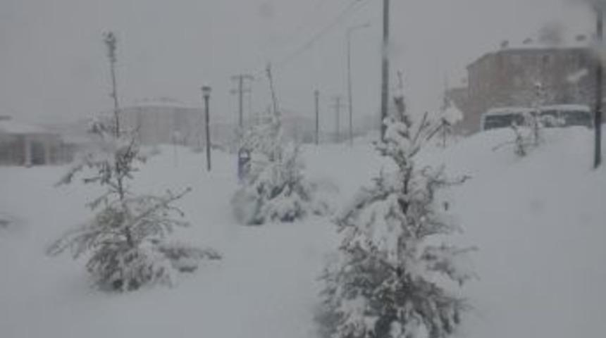 Bitlis'te 117 K&ouml;y Yolu Ulaşıma Kapandı