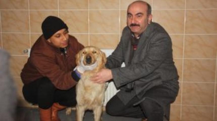 Hayvan Barınağında Kaloriferli Sistem Kuruldu