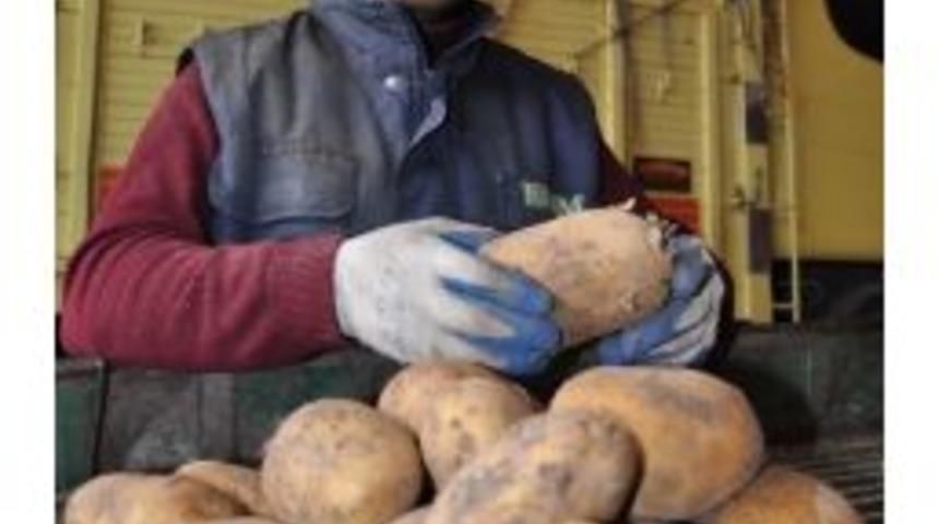 Hal M&uuml;d&uuml;r&uuml; Parlay&uuml;ksel: "halde &Ccedil;&uuml;r&uuml;yen &Uuml;r&uuml;n Yok"