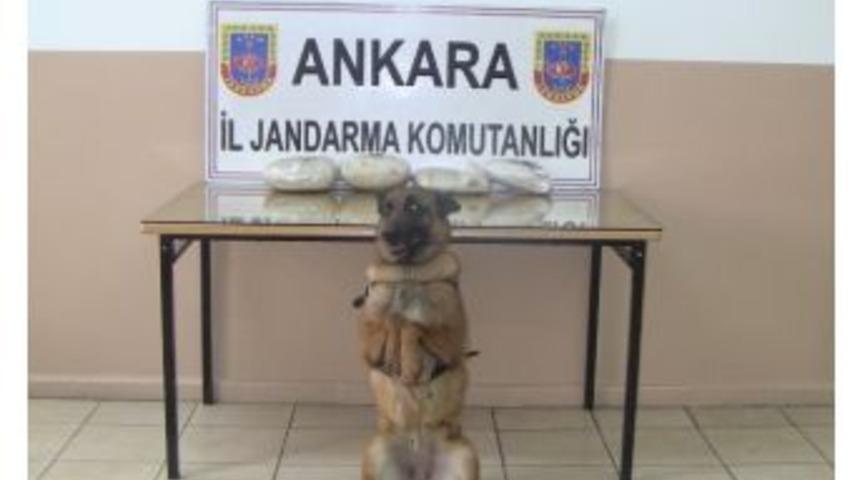 Jandarmadan Uyuşturucu Operasyonu