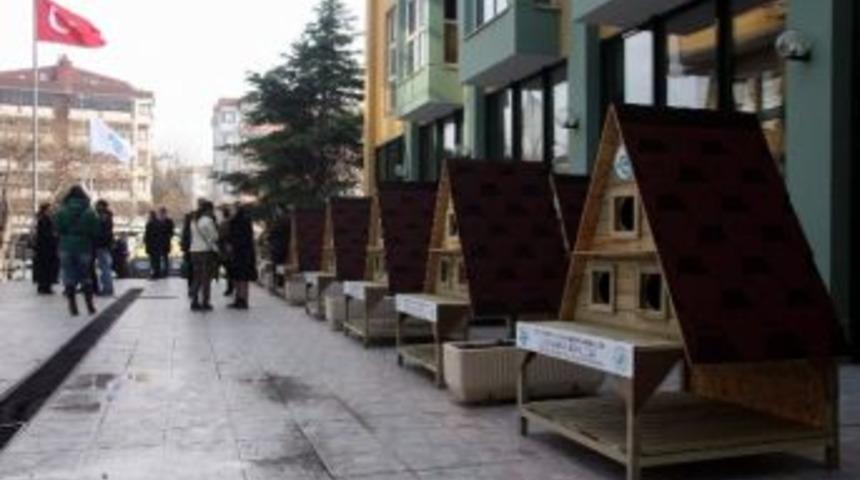 Kedilere Yeni Evler