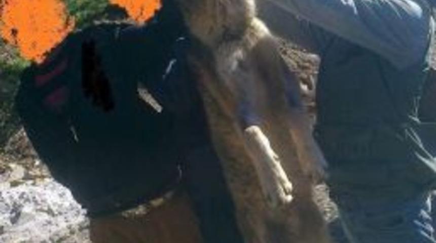 Usuls&uuml;z Avcılar Sosyal Medyada Yakalandı