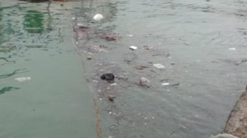 Karadenizde Deniz Kirliliği Karadan Kaynaklanıyor