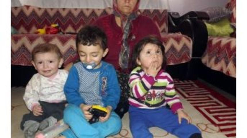 Anneleri Evi Terk Eden 3 Kardeşin Dramı