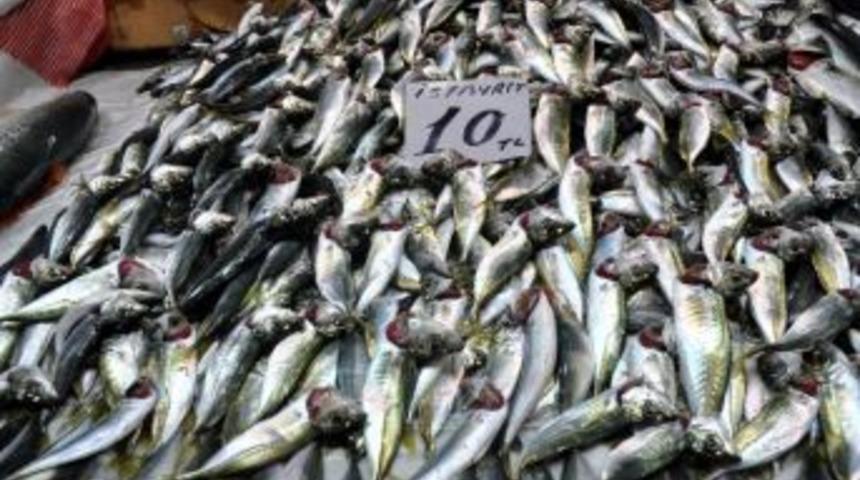 Balık Fiyatları Tavan Yaptı