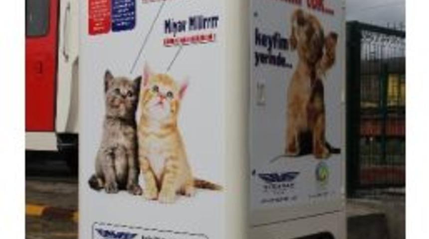 Sokak Hayvanları Geri D&ouml;n&uuml;ş&uuml;mle Beslenecek