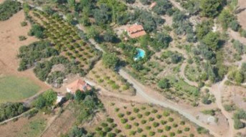 Hazineye Ait Tarım Arazileri Satışa &Ccedil;ıkarılıyor