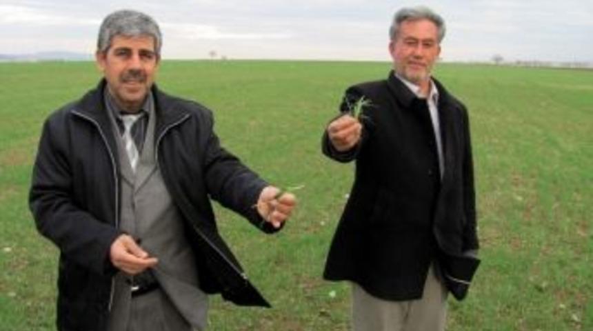 Araban Ovası Suya Doydu