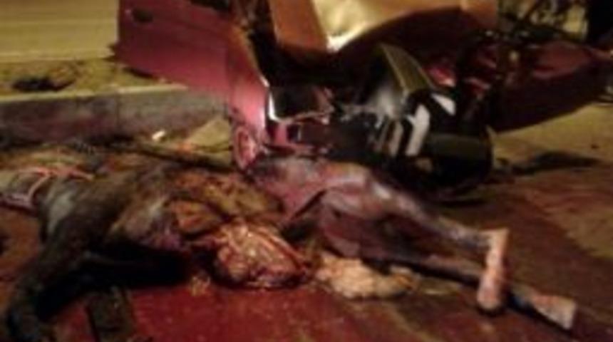 (&ouml;zel Haber) Başı Boş Atlar E-87&rsquo;yi Kan G&ouml;l&uuml;ne &Ccedil;evirdi