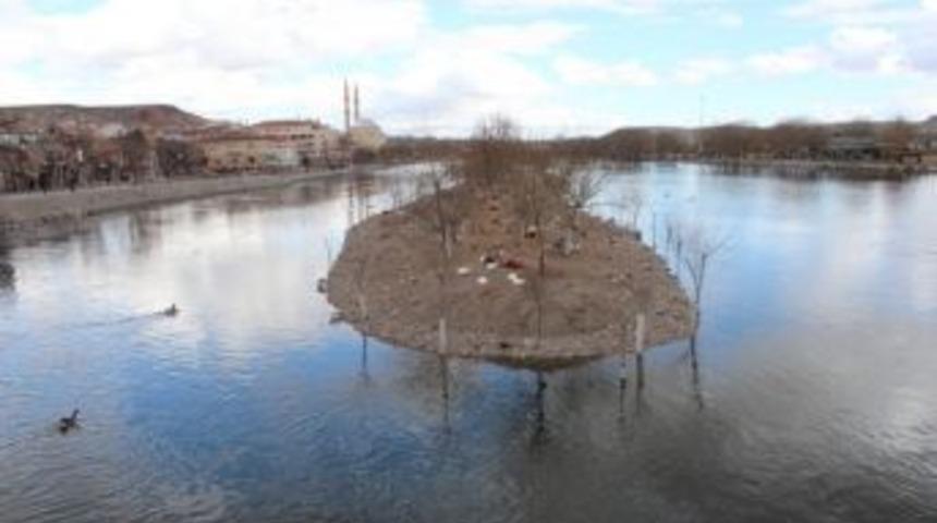 Kızılırmak'ta Kazlar Kulu&ccedil;kaya Yatmaya Başladı