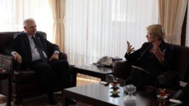 Abd İle Kültürel İşbirliği