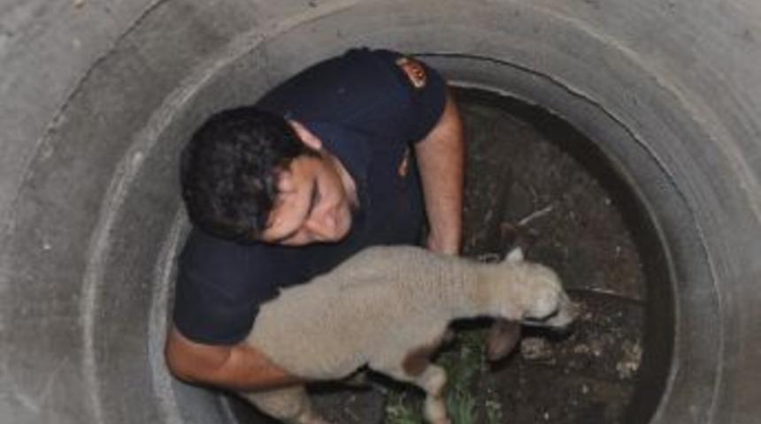 D&uuml;zce İtfaiyesi 2013 Yılında 32 Hayvan Kurtardı