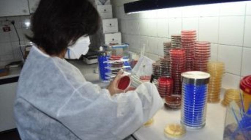 Balcalı&rsquo;ya 3. Kez "jcı" D&uuml;nya Kalite Belgesi