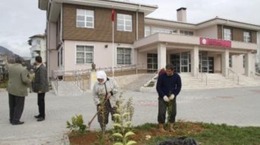 Okullar Yeşille Hayat Buluyor