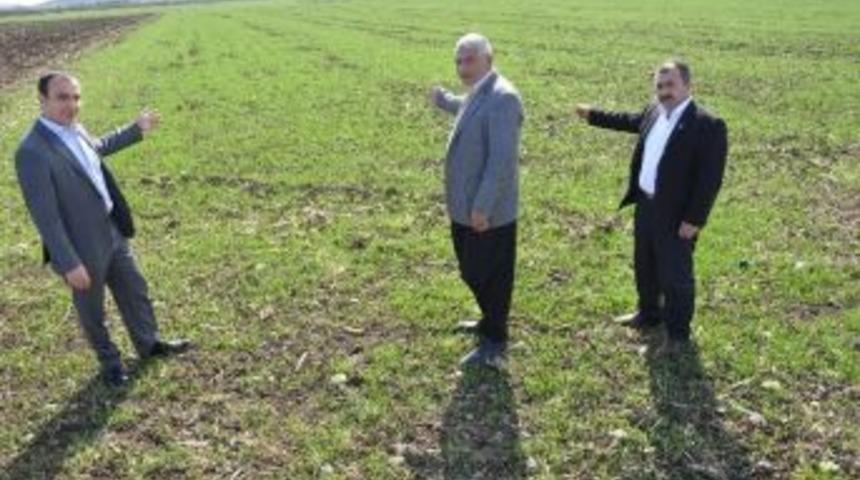 Kuraklık Tehlikesini Atlatan &Ccedil;ift&ccedil;inin Y&uuml;z&uuml; G&uuml;ld&uuml;