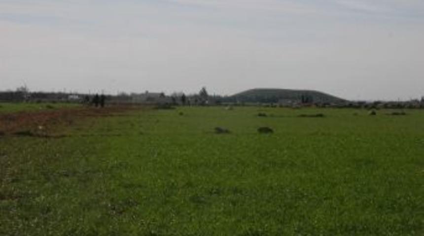 Sınırda Sessizlik Hakim