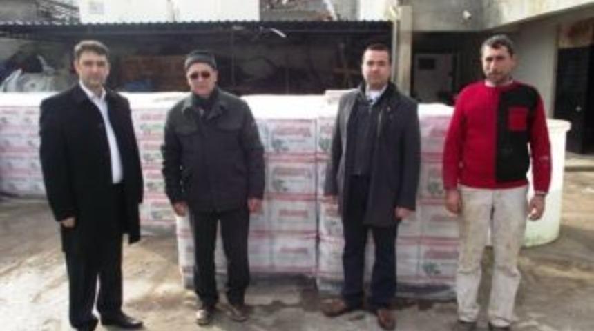 Havran&rsquo;dan Almanya&rsquo;ya Zeytin İhracatı