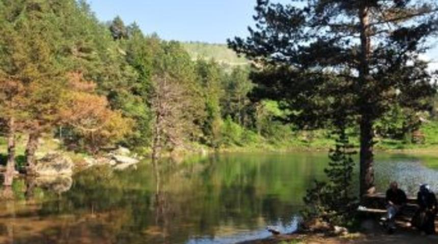 Limni G&ouml;l&uuml;ne Ahşap Kır Evi Yapılacak