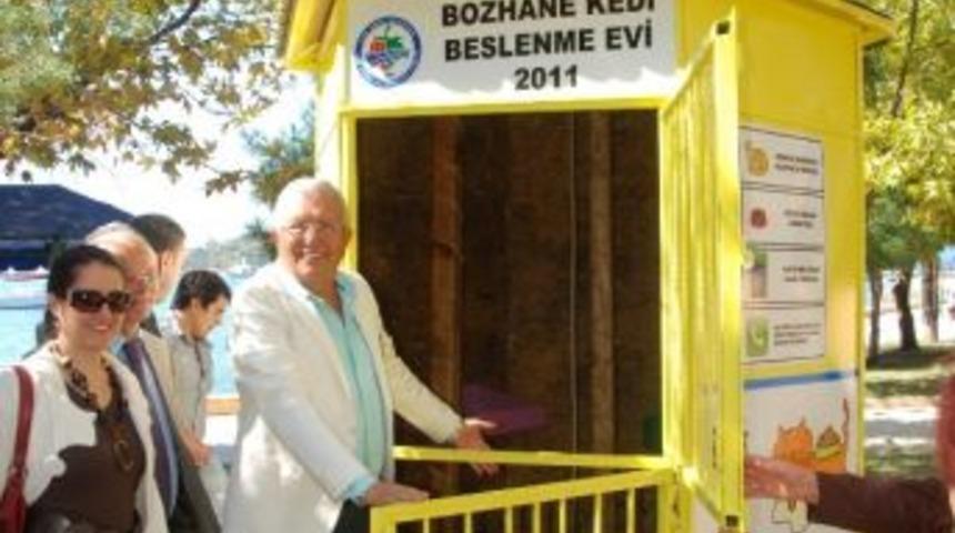 Kdz.ereğli&rsquo;de Sokak Kedilerine 24 Saat Bakım Hizmeti