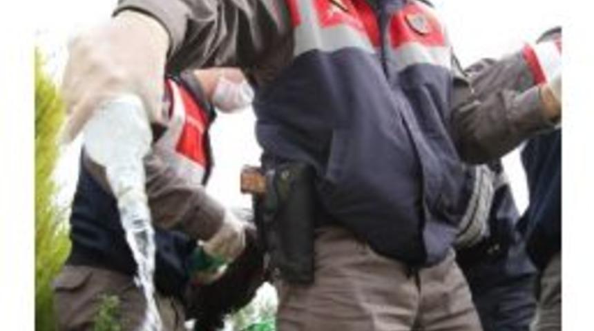 Jandarmada İmha G&uuml;n&uuml;