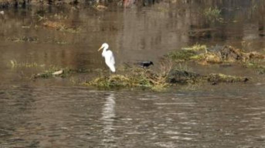 Kargayla Balık&ccedil;ılın Av N&ouml;beti