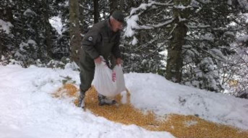Yabani Hayvanlar Unutulmadı