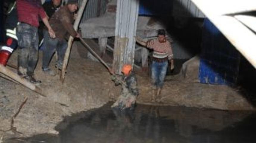 Ke&ccedil;ilerini Ararken Bal&ccedil;ık Dolu Kuyuya D&uuml;şt&uuml;