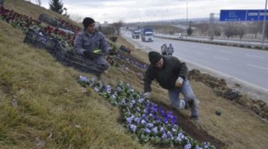 Bir Yılda 328 Bin &Ccedil;i&ccedil;ek &Uuml;retimi