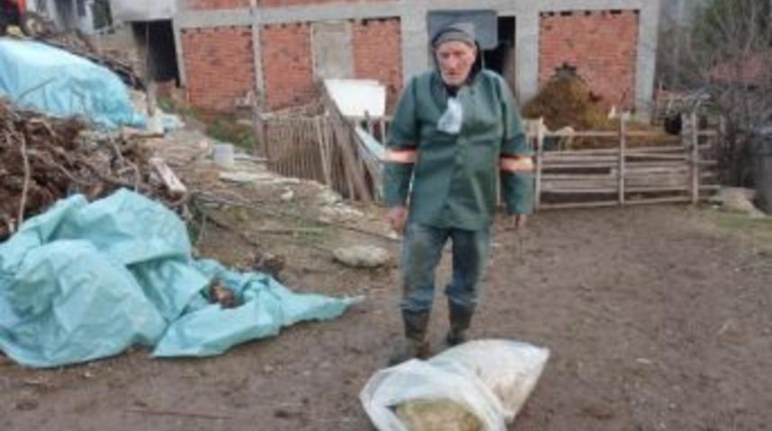 Yalova'da &Ccedil;i&ccedil;ek Aşısı Sonrası Koyunların Telef Olduğu İddiası