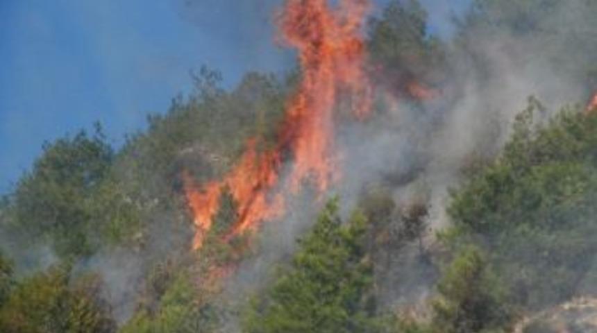 Silifke&rsquo;de Orman Yangını