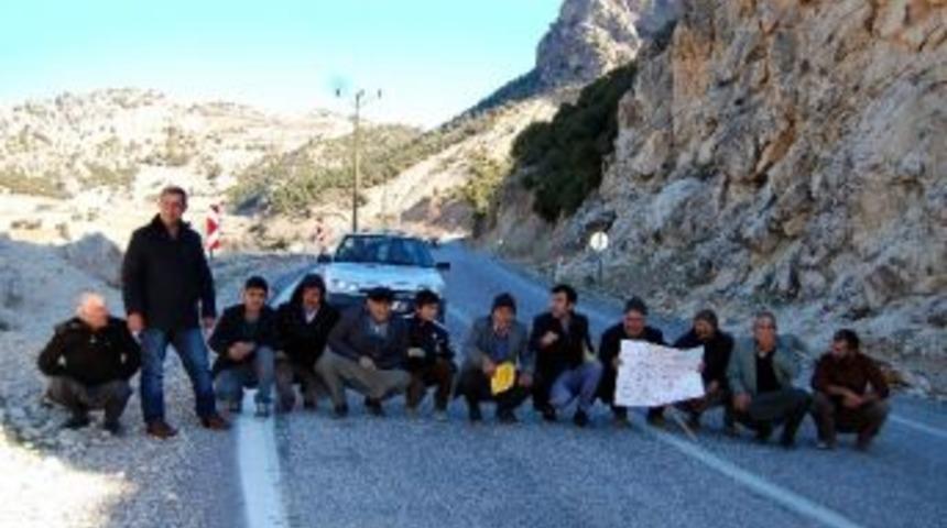 Bariyer Yapılmayan Yere &lsquo;canlı&rsquo; Bariyer Oldular