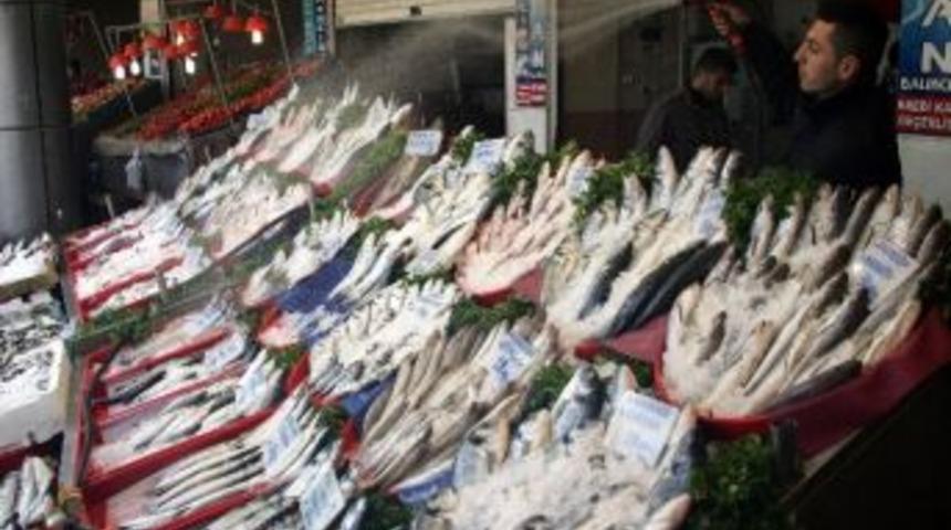 Denizi Olmayan Gaziantep&rsquo;te Her G&uuml;n 65 &Ccedil;eşit Balık Sergileniyor