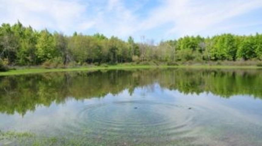 Tema'dan D&uuml;nya Sulak Alanlar G&uuml;n&uuml; A&ccedil;ıklaması