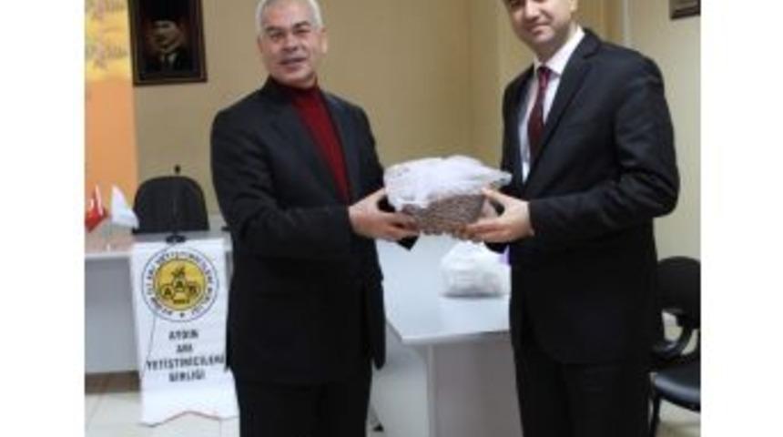 Aydın&rsquo;da Arıcılar Bilin&ccedil;lendiriliyor