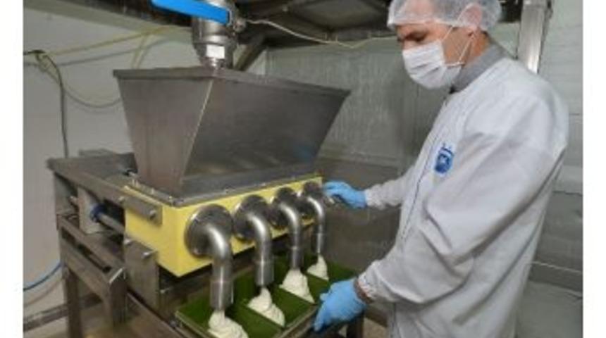 İzmir'den 62 Şehire Glutensiz Ekmek