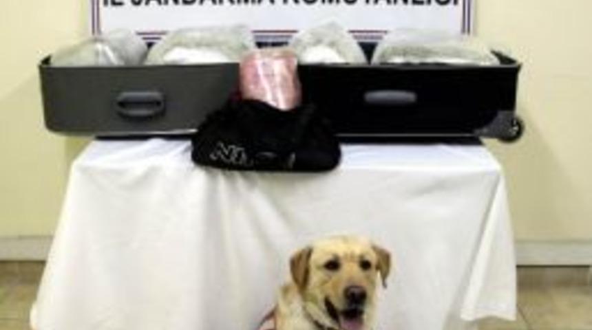 Kayseri'de Uyuşturucu Operasyonu