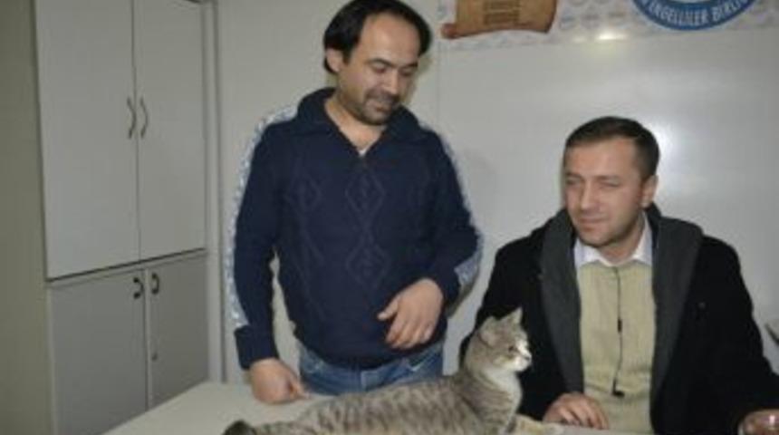 Engelli Derneğinin engelli kedisi